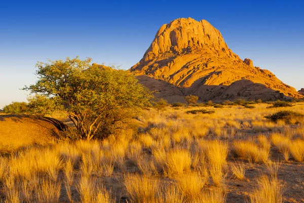 Natureza e paisagens da Namíbia — Fotografia de Stock