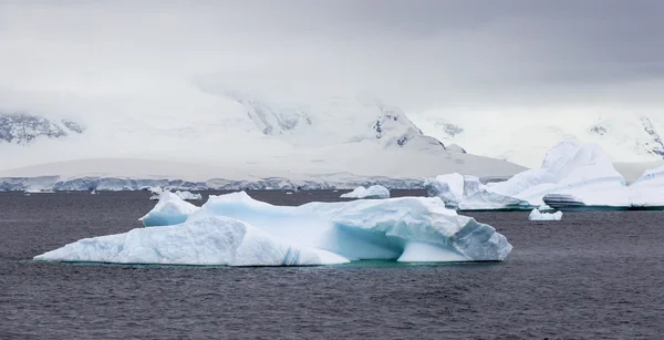 Nature et paysages de l'Antarctique . — Photo