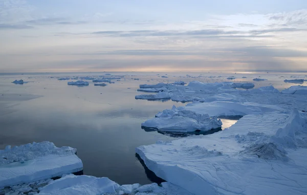 Nature and landscapes of Greenland — Stock Photo, Image