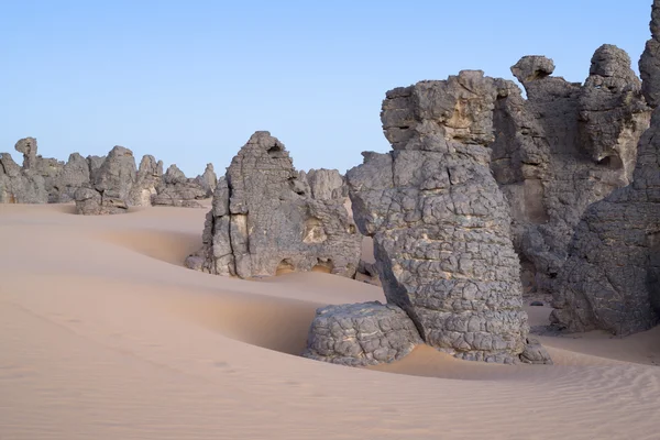 Grandes dunas do deserto — Fotografia de Stock