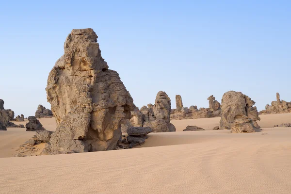 Enormes dunas del desierto — Foto de Stock