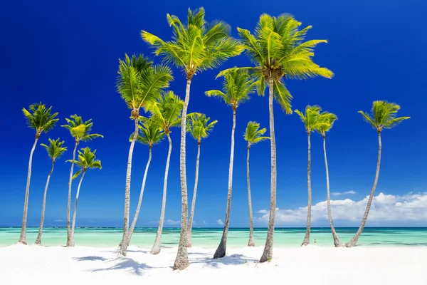 Stranden på den tropiska ön — Stockfoto