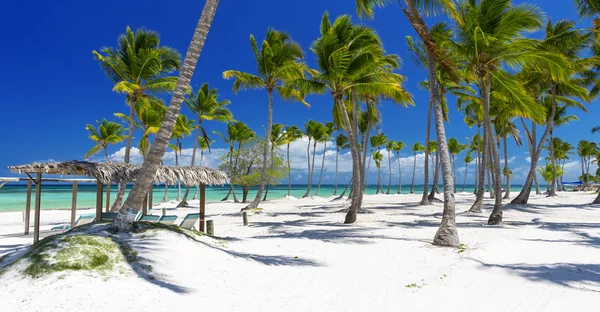 Praia na ilha tropical — Fotografia de Stock