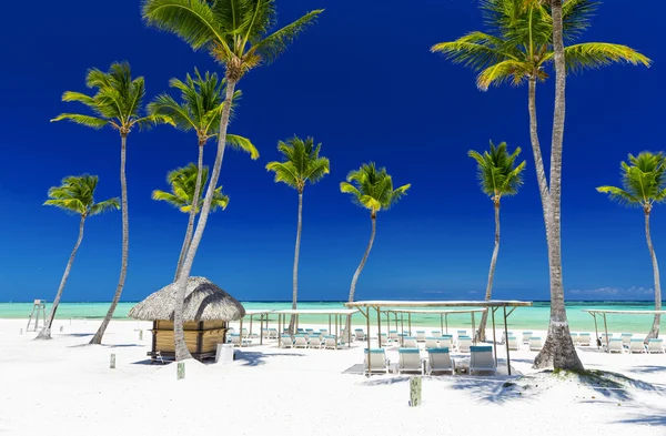 Beach on the tropical island — Stock Photo, Image