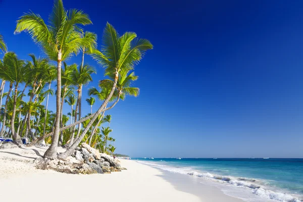 Playa en la isla tropical — Foto de Stock