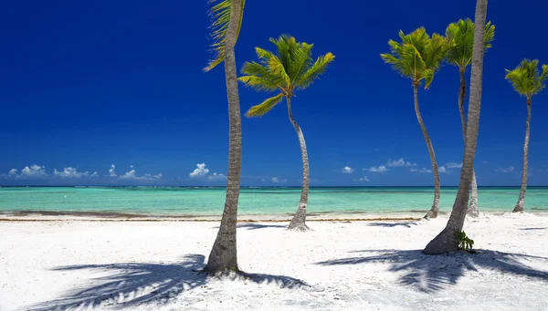 Praia na ilha tropical — Fotografia de Stock