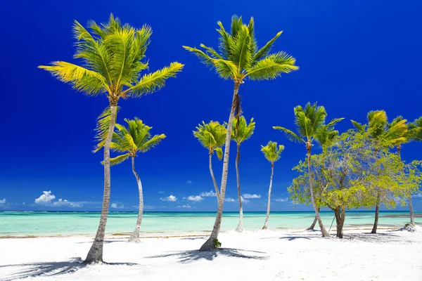 Spiaggia sull'isola tropicale — Foto Stock