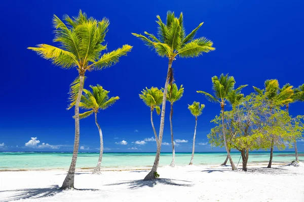 Playa en la isla tropical — Foto de Stock