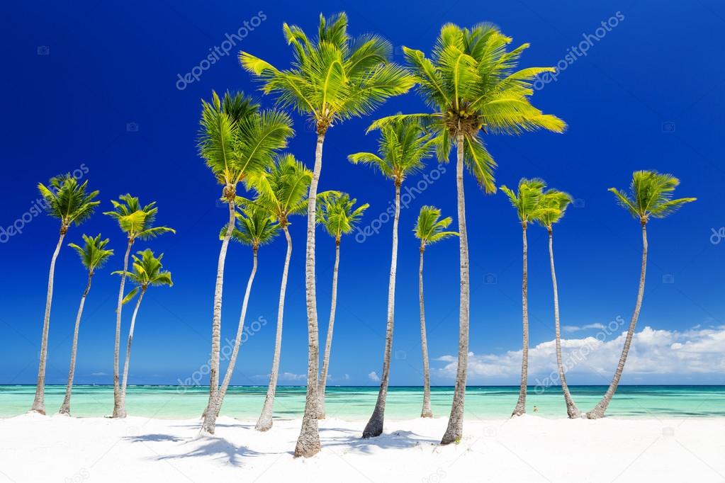 Beach on the tropical island