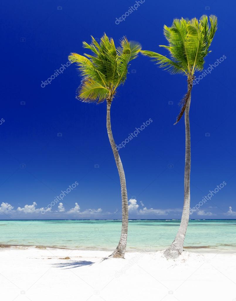 Beach on the tropical island