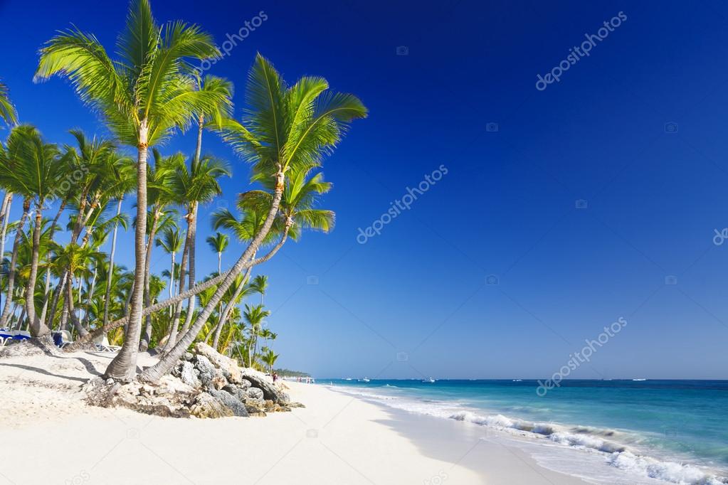 Beach on the tropical island