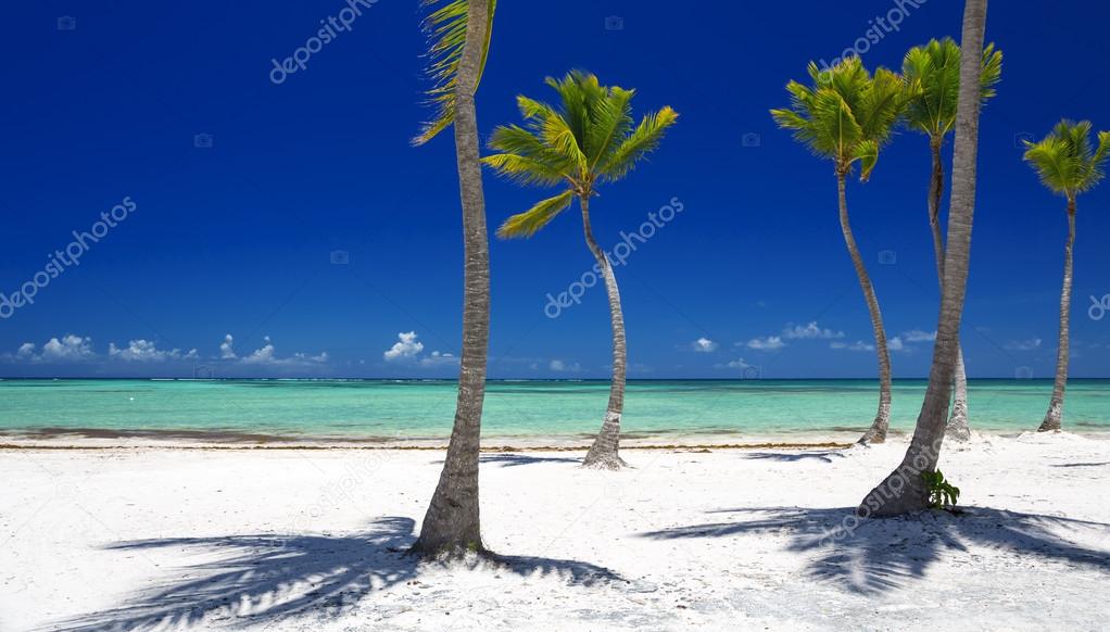 Beach on the tropical island