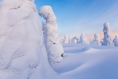 Dünyanın iklim değişiklikleri