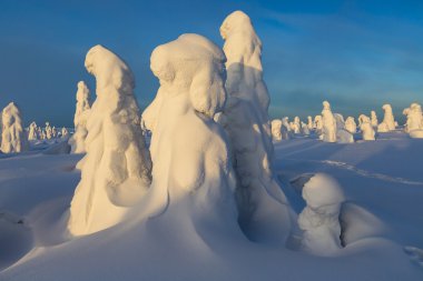 Dünyanın iklim değişiklikleri