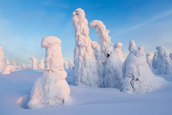 Climatic changes on the planet — Stock Photo, Image