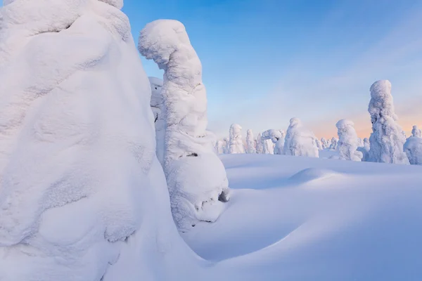 Klimatförändringar på vår planet — Stockfoto