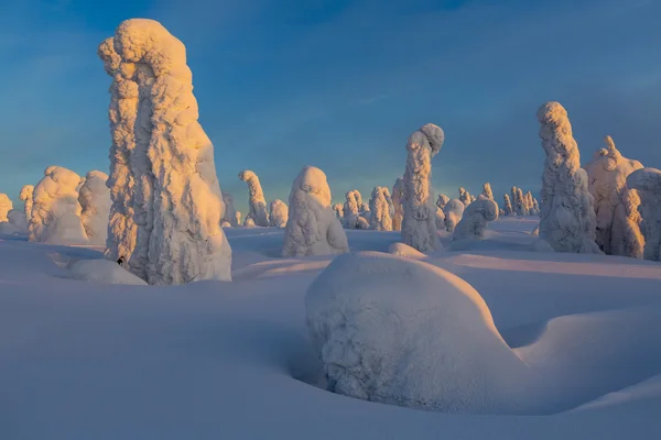 Climatic changes on the planet — Stock Photo, Image