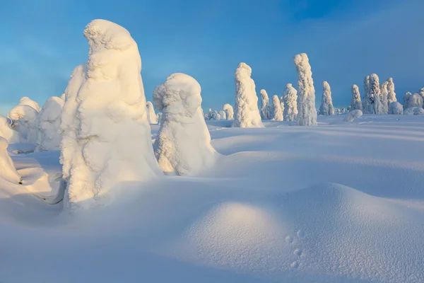 Climatic changes on the planet — Stock Photo, Image