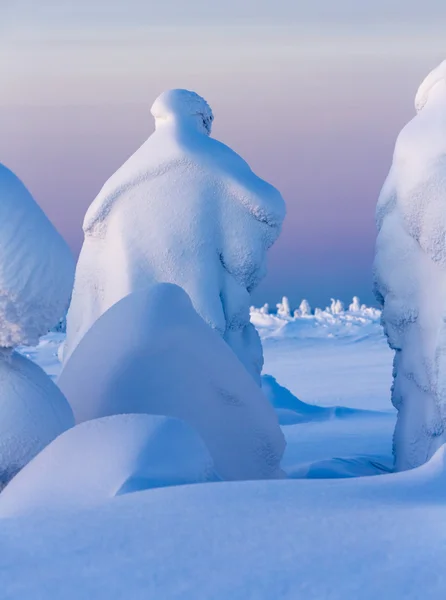 Changements climatiques sur la planète — Photo