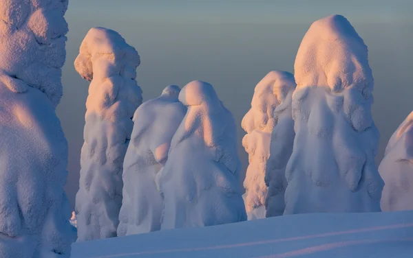 Klimatické změny na planetě — Stock fotografie