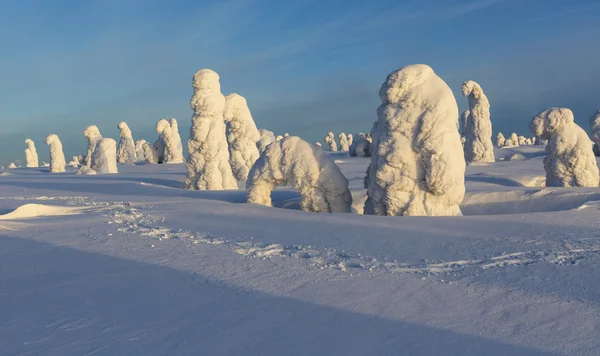 Climatic changes on the planet — Stock Photo, Image