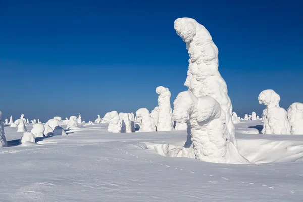 Klimatförändringar på vår planet — Stockfoto