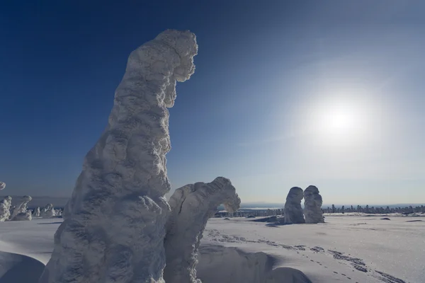 大雪と立ち往生している木は 雪でラウンドします 地球温暖化の現象 — ストック写真