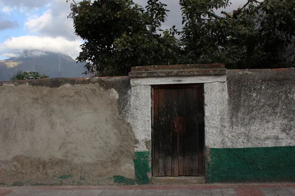 Puerta marrón en una pared blanca y verde — Foto de Stock