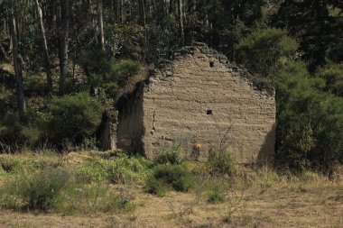 Bir ormanda bina yıkılmış