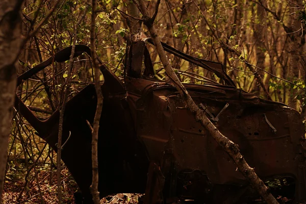 Abandoned Car in a Forest — Stock Photo, Image