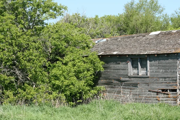 Ancienne grange abandonnée tombant en ruine — Photo