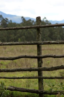 Bir arazide ahşap çit
