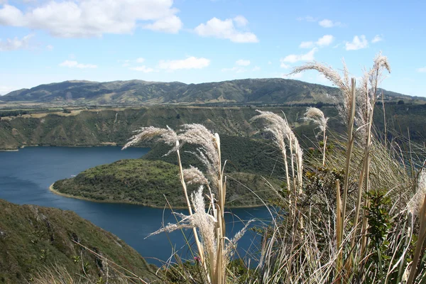 Pflanzenwelt und die Inseln des Cuicocha-Sees — Stockfoto