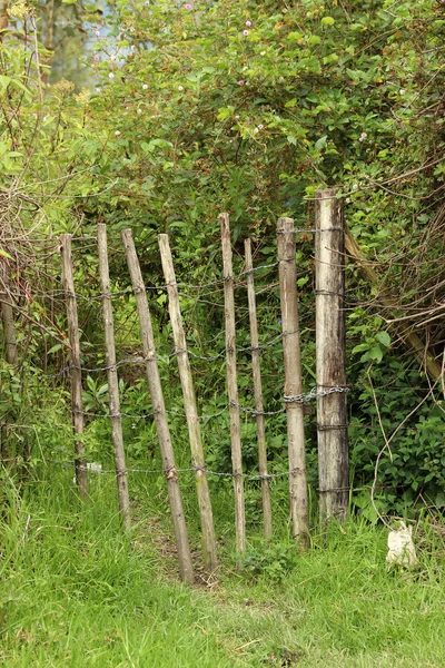 Barbed Wire Gate in a Bush — Stock Photo, Image