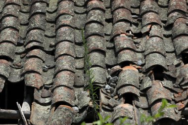 Pişmiş toprak Shingle çatı