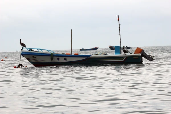 Barco de pesca atracado e pelicanos — Fotografia de Stock