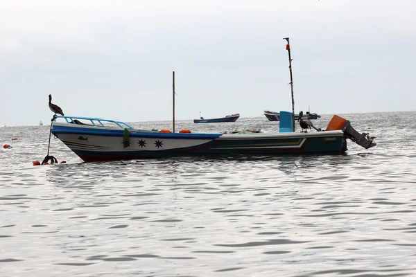 Ormeggiato Barca da pesca e Pelicans — Foto Stock