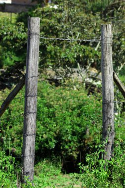 Dikenli tel çit kapısı