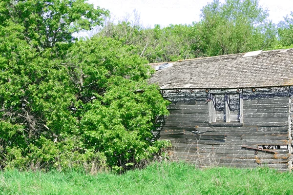 Vecchio fienile abbandonato che cade in rovina — Foto Stock