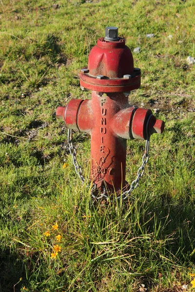 Bouche d'incendie dans un champ — Photo