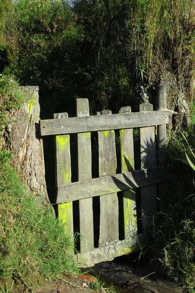 Faded Yellow Gate — Stock Photo, Image
