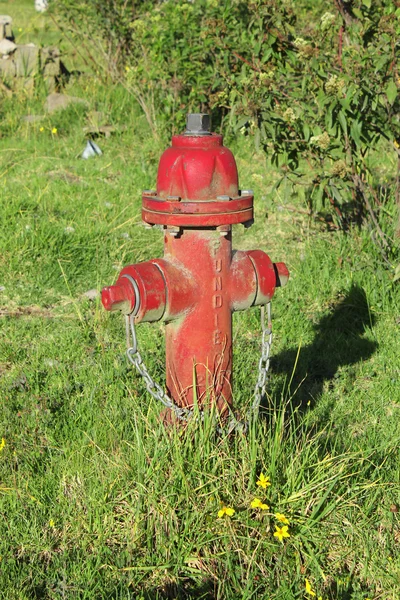 Rode Hydrant en bloemen — Stockfoto