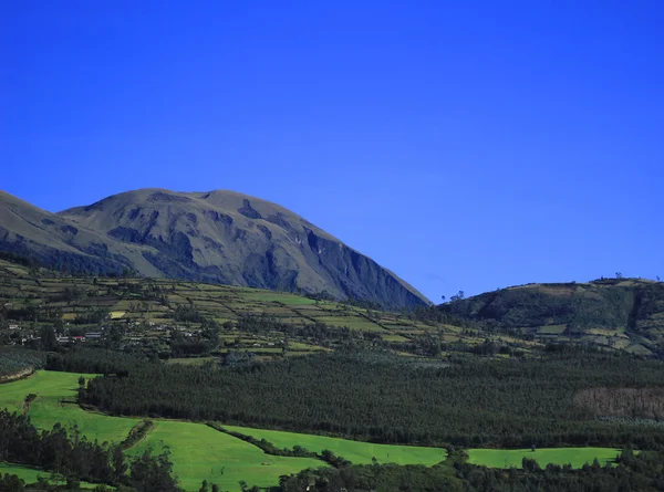 Berge und Wiesen — Stockfoto