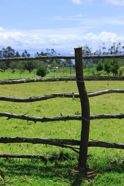 Wood Rail Fence in a Pasture — Stock Photo, Image