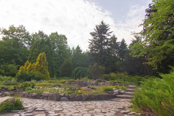 Park with green coniferous trees, flower beds with flowers and sidewalk of decorative stone — Stock Image Park Green Coniferous Trees Flower Beds Flowers Sidewalk Decorative Stone Stock Picture