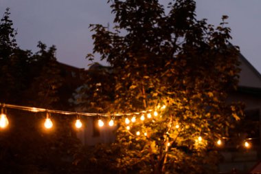 Edison ampulleri geceleri ağaçlar arasında gerilmiş uzun bir telde yanar.