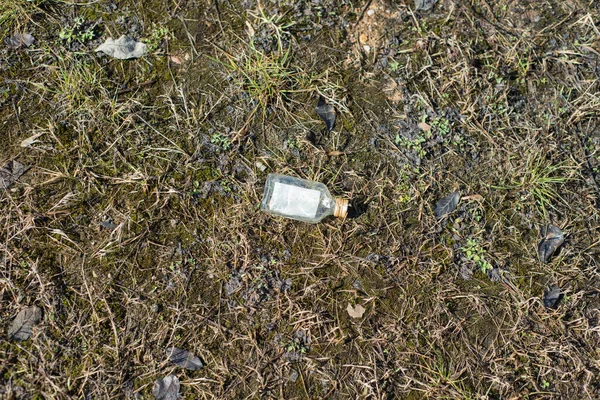 Botella Pequeña Cristal Del Alcohol Sobre Hierba Seca Amarilla Campo — Foto de Stock