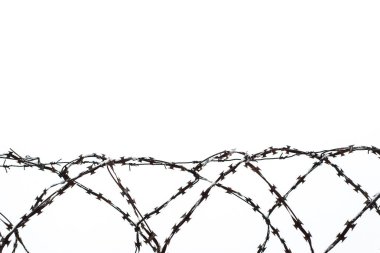 Özgürlüğün kısıtlanması: Kış gökyüzünün arka planında metal dikenli tel