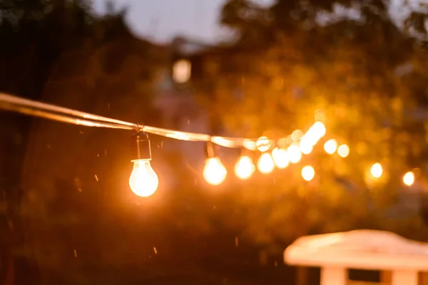 夏夜时分 户外装饰彩灯挂在后院里的树上 在一个夏夜的黄昏里 蜂拥而至 — 图库照片