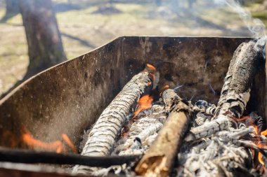 Güneşli bir günde parkta barbekü, ızgarada yanan odun, kömürler küllerle kaplı, ateş kuru odunları yakıyor..